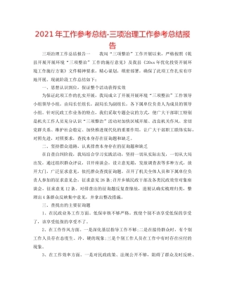 2024年工作参考总结-三项治理工作参考总结报告 