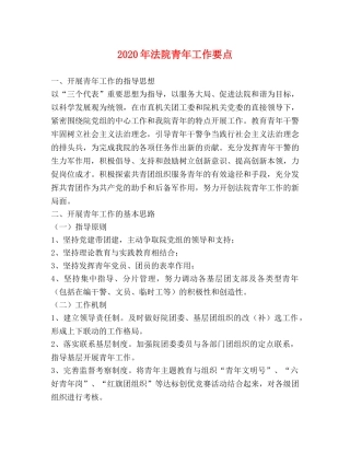 2024年法院青年工作要点 