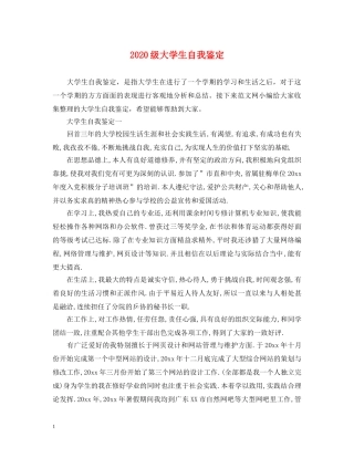 2024级大学生自我鉴定 