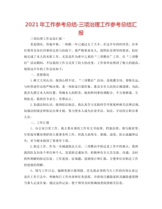 2024年工作参考总结-三项治理工作参考总结汇报 