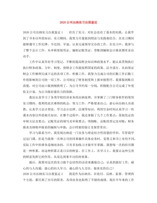 2024公司出纳实习自我鉴定 