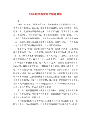 2024抗洪救灾作文精选多篇 
