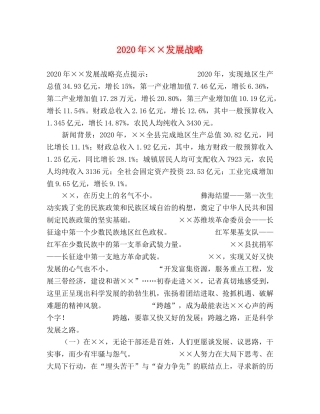 2024年××发展战略 