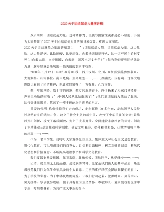 2024关于团结就是力量演讲稿 