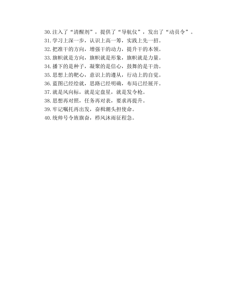 2024关于“贯彻指示精神”的排比句 _第3页