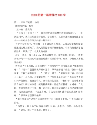 2024的第一场雪作文800字 