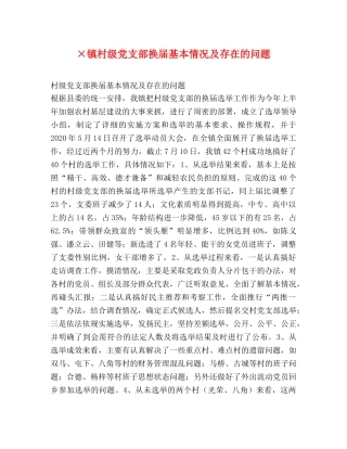 ×镇村级党支部换届基本情况及存在的问题 