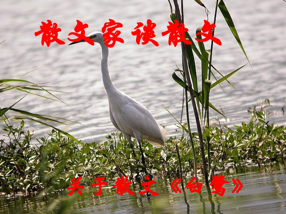 散文家谈散文_第1页