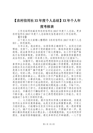 【农村信用社XX年度个人总结】XX年个人年度考核表