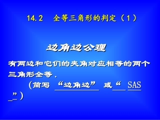 14.2-边角边判定
