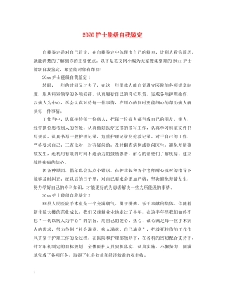 2024护士能级自我鉴定 