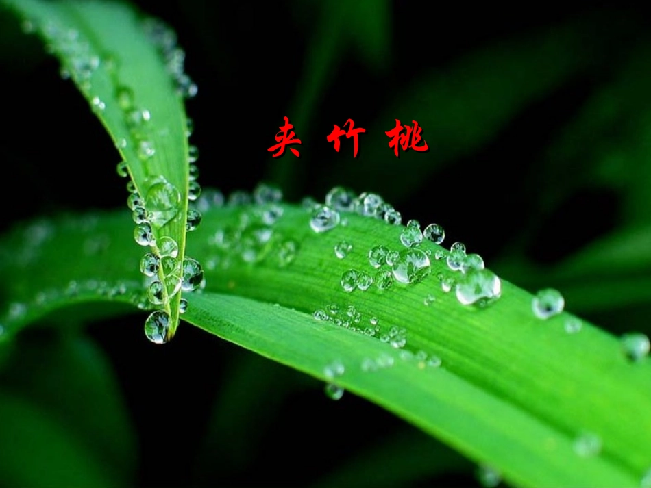 好课件-值得收藏_第2页