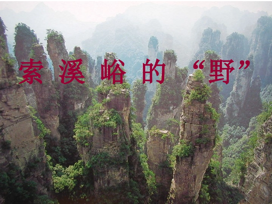《索溪峪的野》课件_第1页