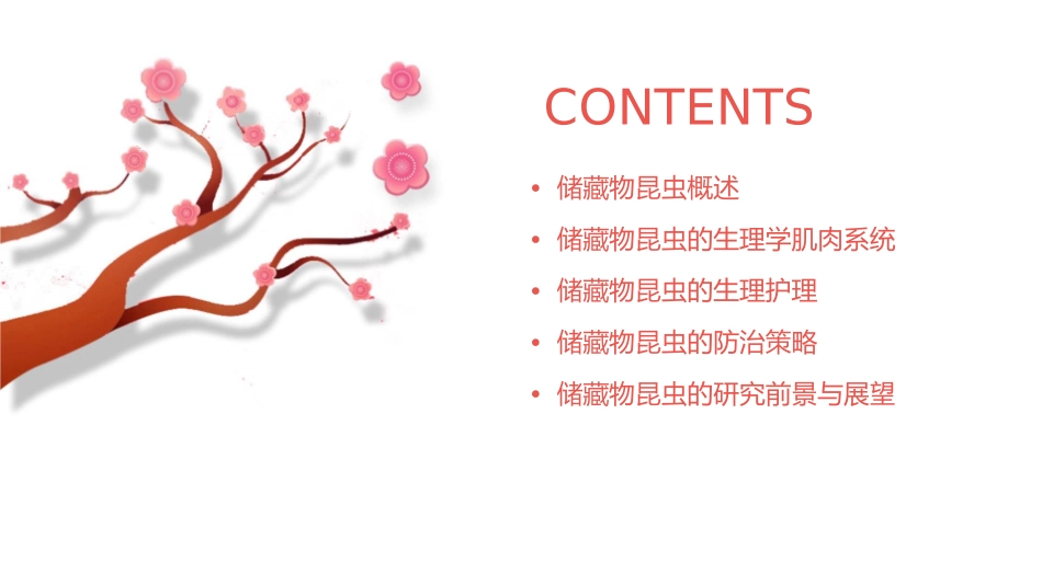 储藏物昆虫的生理学肌肉系统及其生理护理课件1_第2页