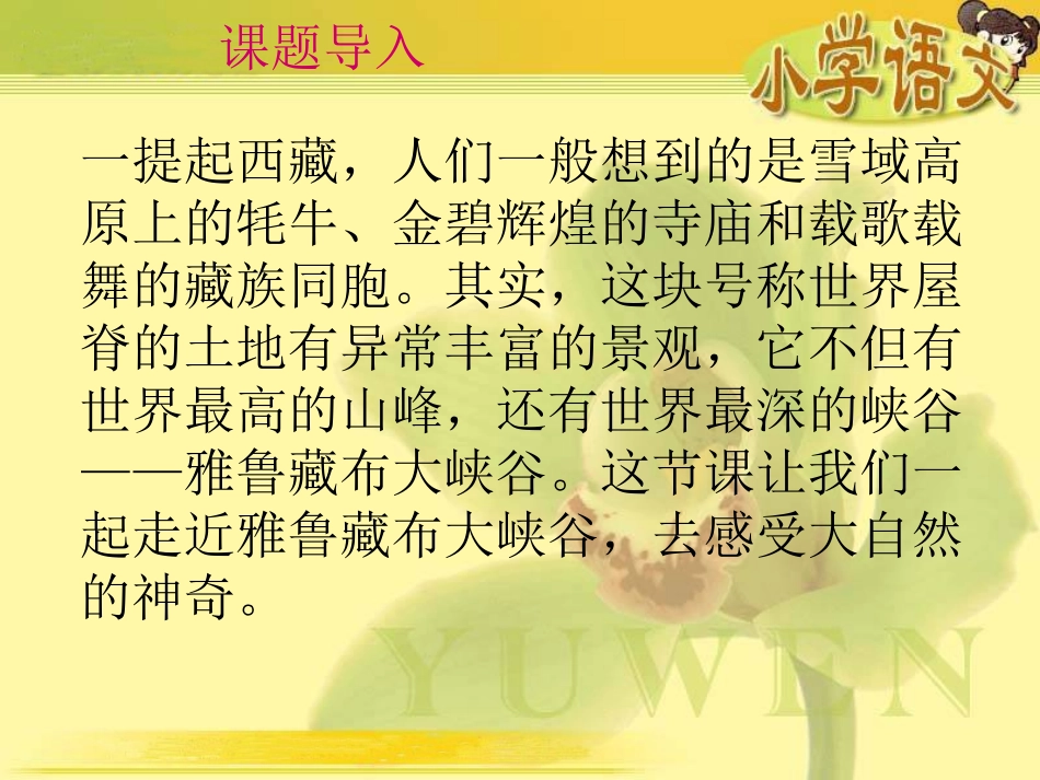 (人教新课标)四年级语文课件-雅鲁藏布大峡谷_第2页