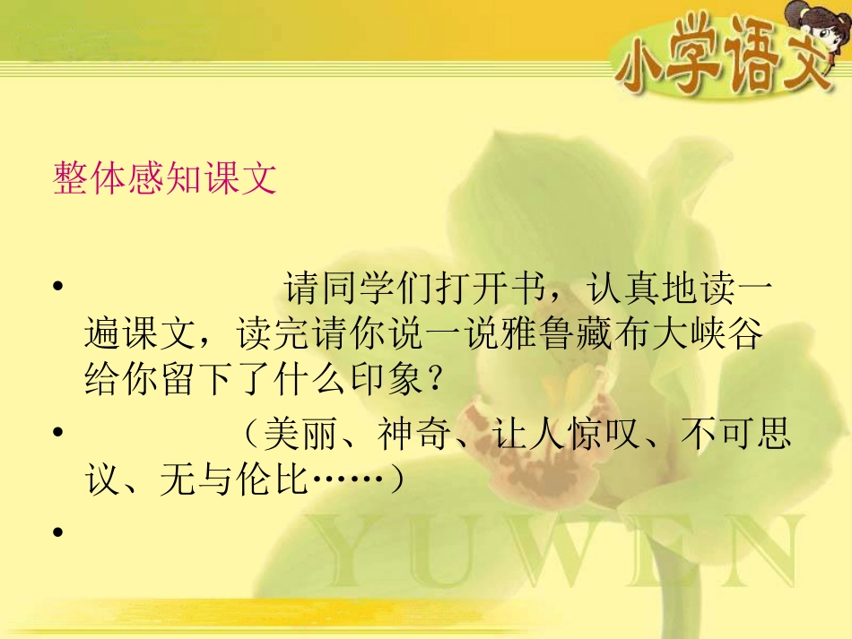 (人教新课标)四年级语文课件-雅鲁藏布大峡谷_第3页