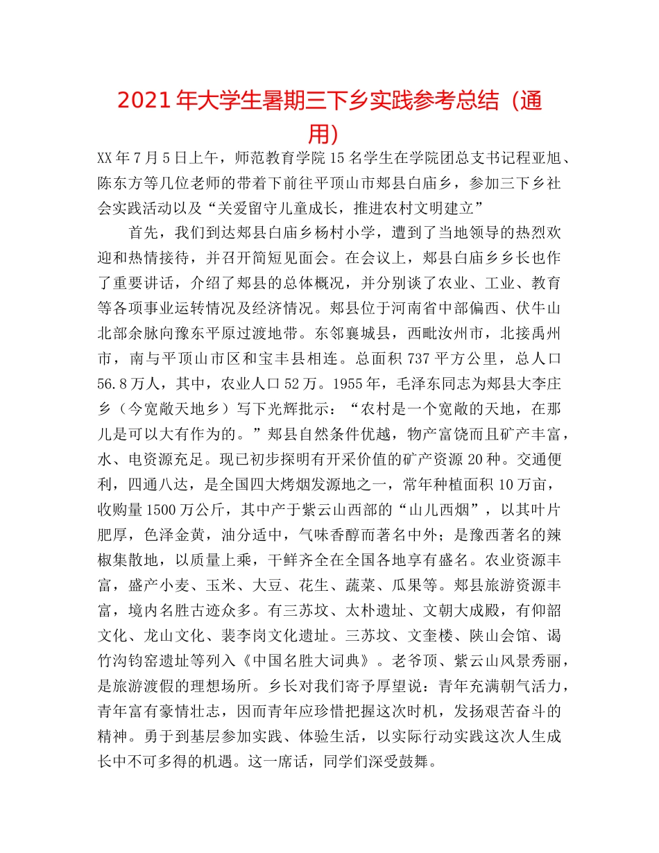 2024年大学生暑期三下乡实践参考总结（通用） _第1页