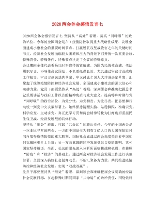 2024两会体会感悟发言七 