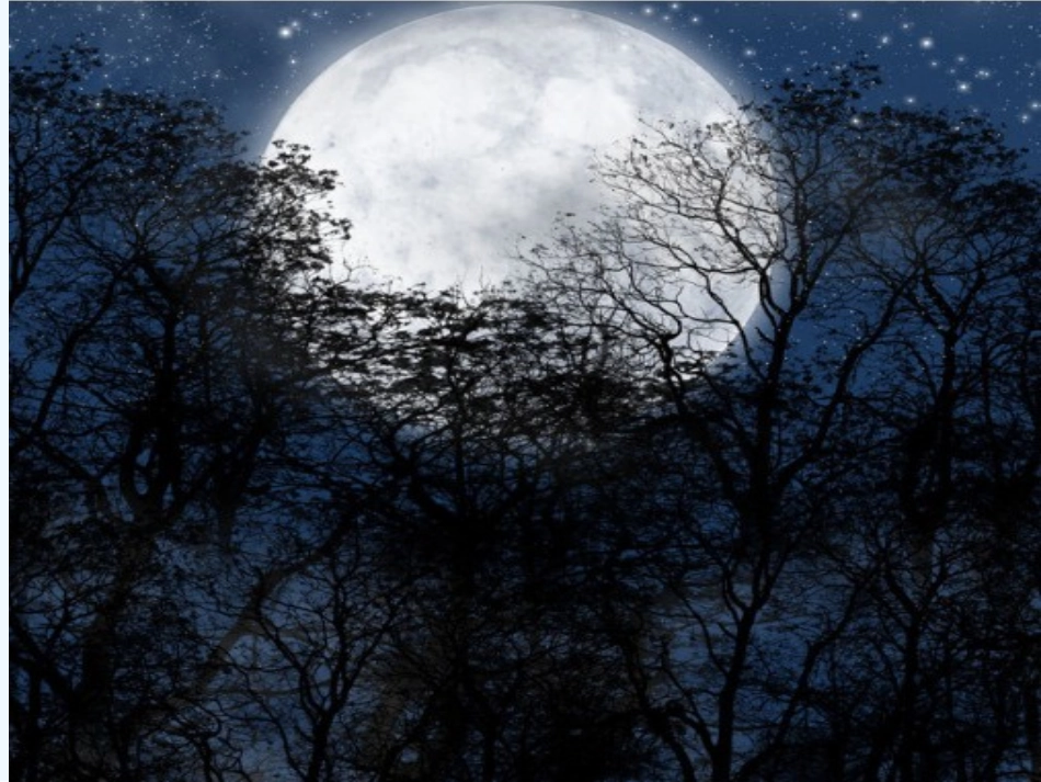 (部编)人教语文2011课标版一年级下册《静夜思》ppt_第3页