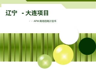 APM商场招商计划书