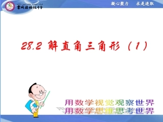 28.2解直角三角形.2-解直角三角形(1)