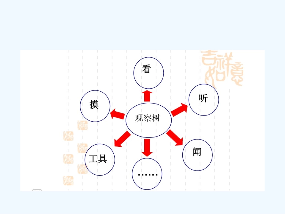 四年级科学上册7观察一棵树_第2页