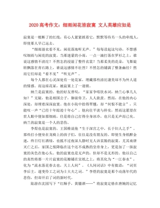2024高考作文细雨闲花皆寂寞 文人英雄应如是 
