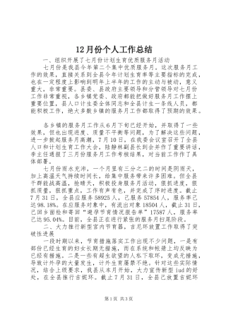 12月份个人工作总结