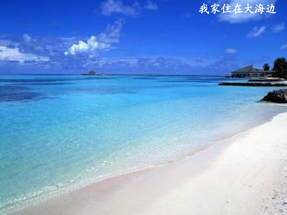 北师大版一年级语文上册《我家住在大海边》PPT课件_第3页