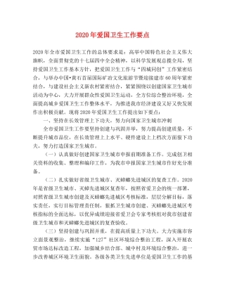 2024年爱国卫生工作要点 