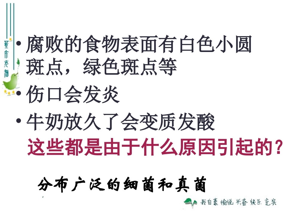 细菌和真菌的分布_第1页