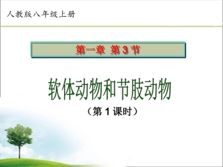 人教版八年级上册生物《软体动物和节肢动物》课件-