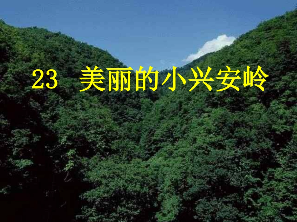 23--美丽的小兴安岭_第1页
