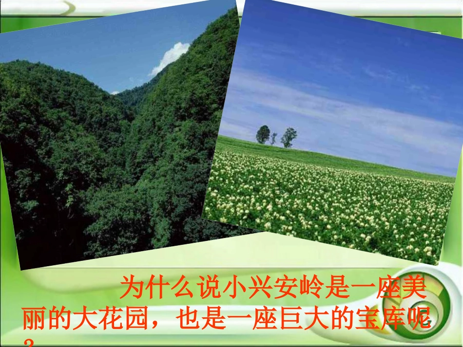23--美丽的小兴安岭_第2页