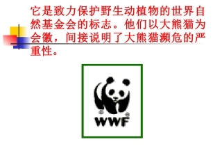 17.国宝——大熊猫-课件