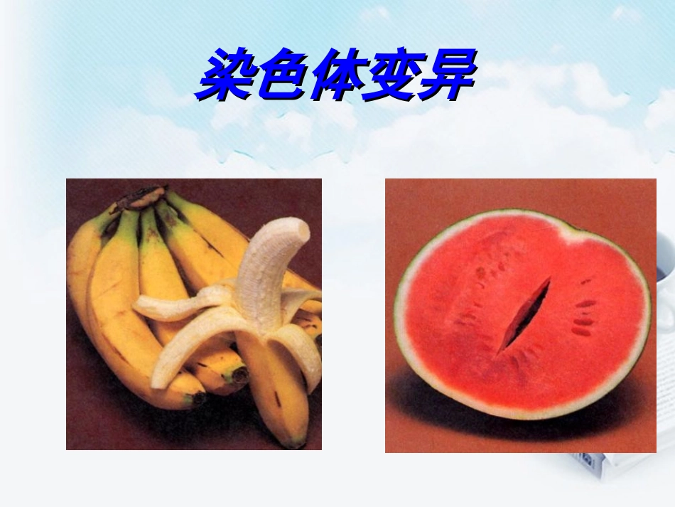 浙江省温州市高二生物-染色体变异2课件_第1页