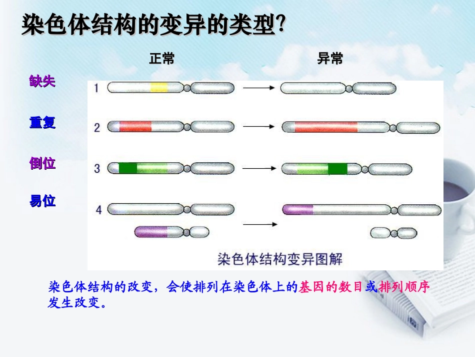 浙江省温州市高二生物-染色体变异2课件_第3页