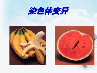 浙江省温州市高二生物-染色体变异2课件