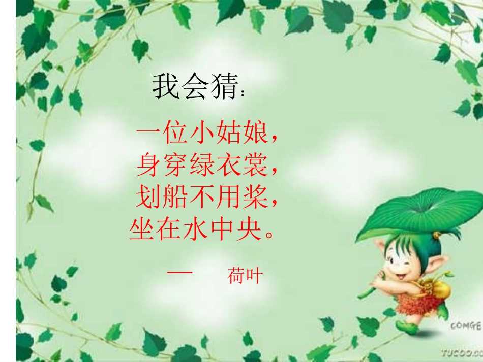 荷叶圆圆ppt(1)_第2页