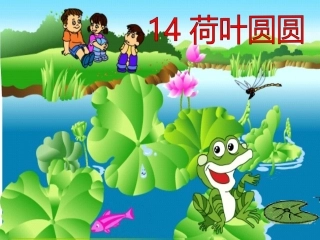 荷叶圆圆ppt(1)