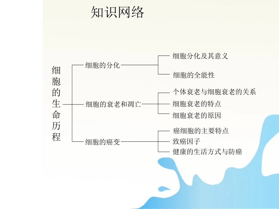 2012届高三生物一轮复习知识网络汇总-第5单元-细胞的分化、衰老和凋亡课件_第2页