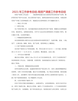 2024年工作参考总结-局资产清查工作参考总结 