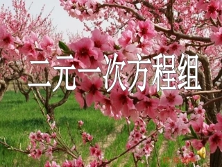 2.2-二元一次方程组