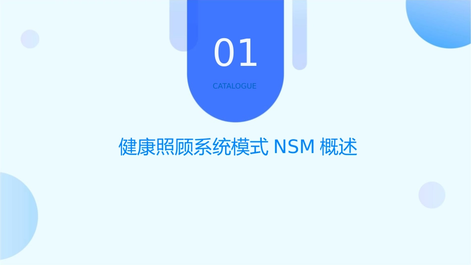 健康照顾系统模式NSM课件1_第3页
