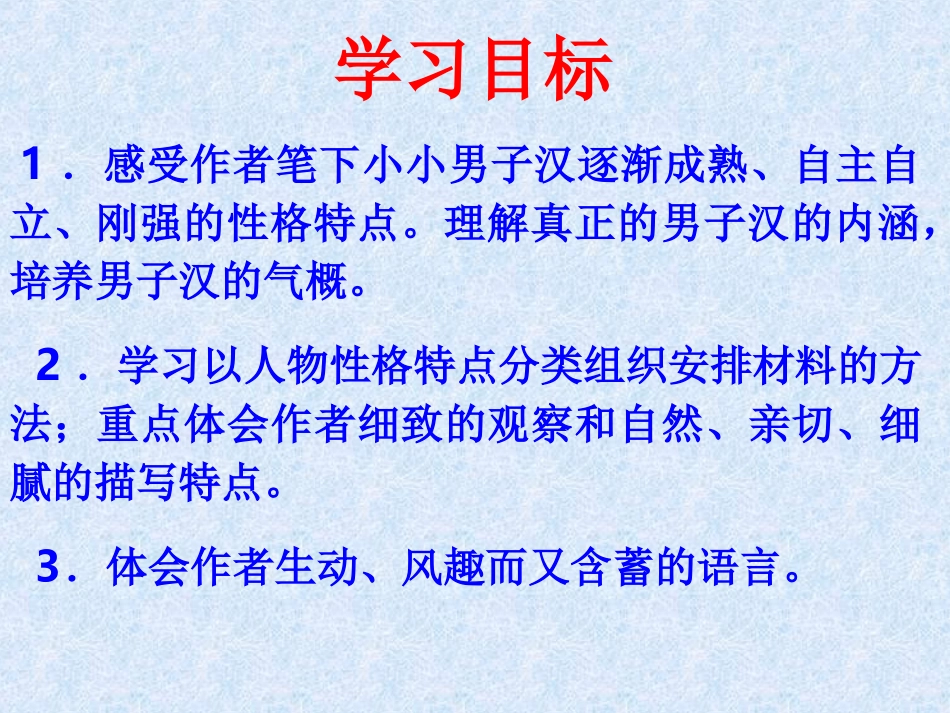 我们家的男子汉(1)_第2页