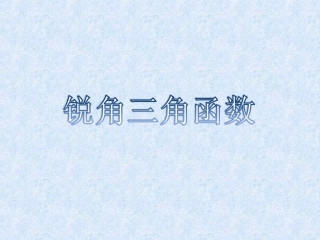 锐角三角函数1