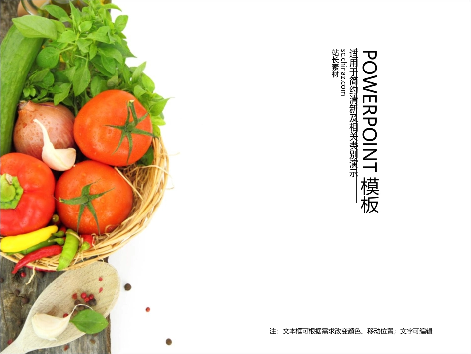 ppt4537_第1页