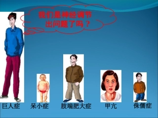 2.2《通过激素的调节》-课件