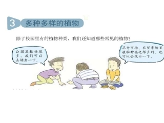 六上四3多种多样的植物张慧敏