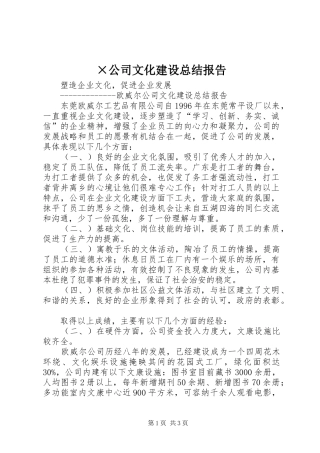 ×公司文化建设总结报告